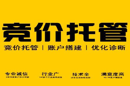 案例分析：百度推广效果优化技巧